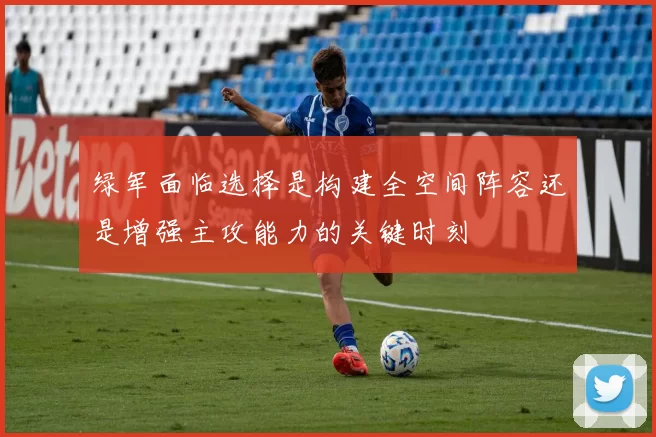 绿军面临选择是构建全空间阵容还是增强主攻能力的关键时刻